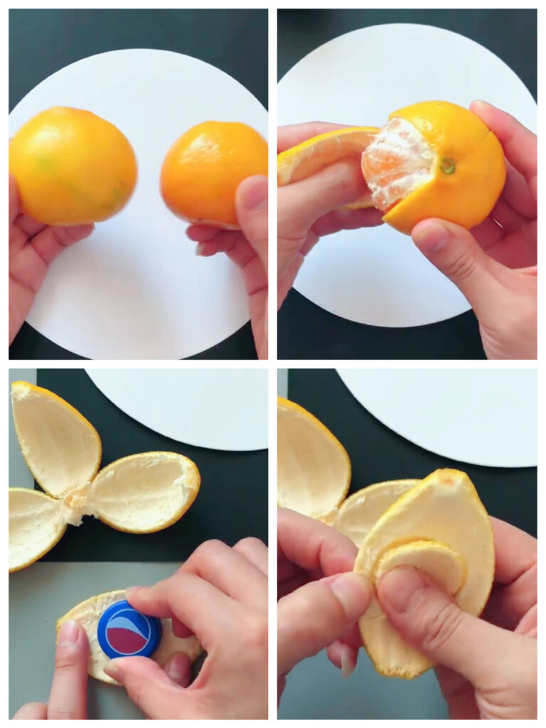 How to DIY Cute Caterpillar with Orange Peel 