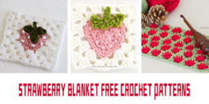 FREE Crochet Strawberry Blanket Patterns