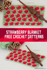 FREE Crochet Strawberry Blanket Patterns IGOODideas