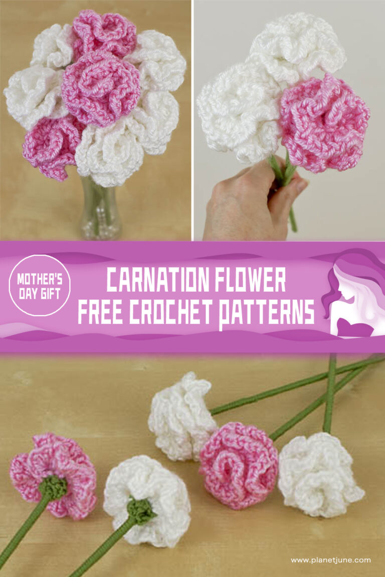 FREE Carnation Flower Crochet Patterns