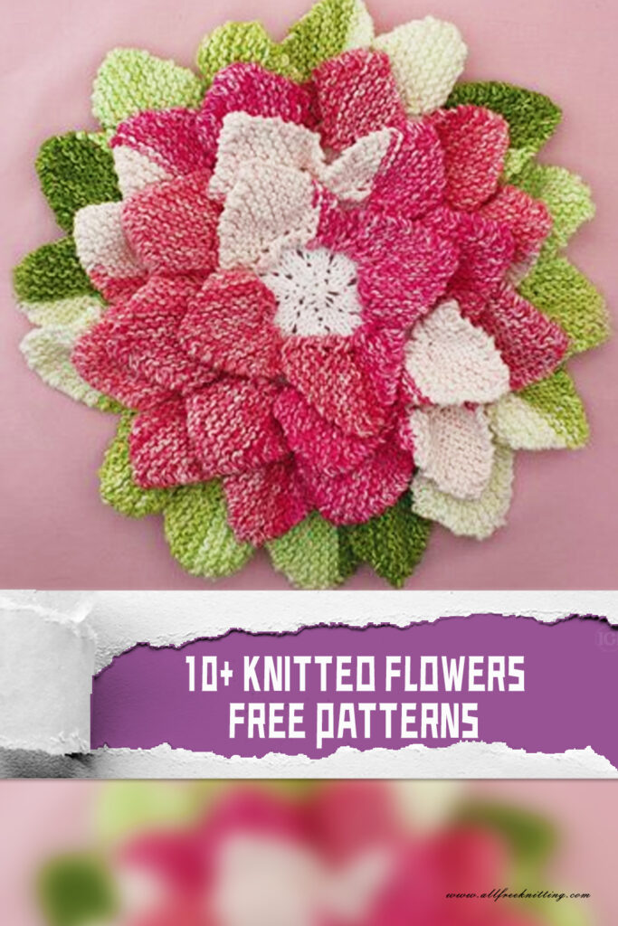 10+ Knitted Flower Free Patterns