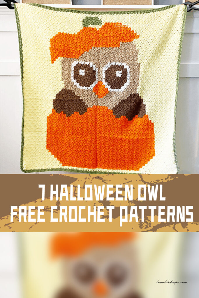 7 FREE Halloween Owl Crochet Patterns