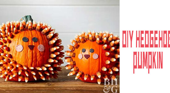 How to DIY Hedgehog Pumpkin