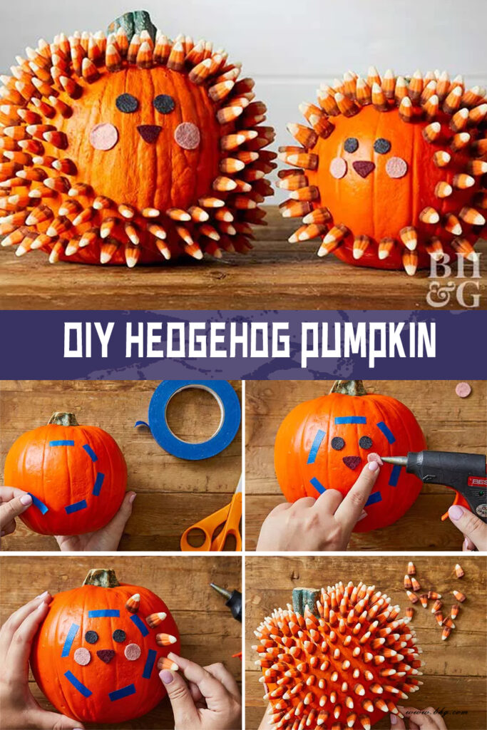 How to DIY Hedgehog Pumpkin