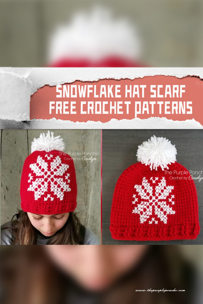  Snowflake Hat Crochet Patterns - FREE