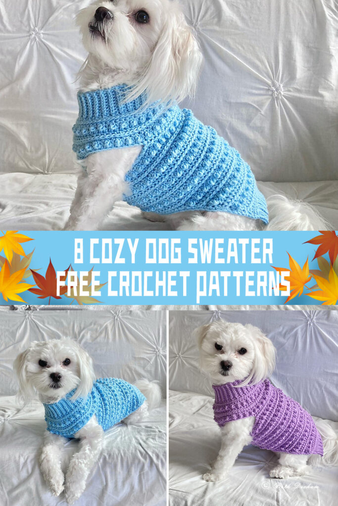 8 Cozy Dog Sweater Crochet Patterns - FREE