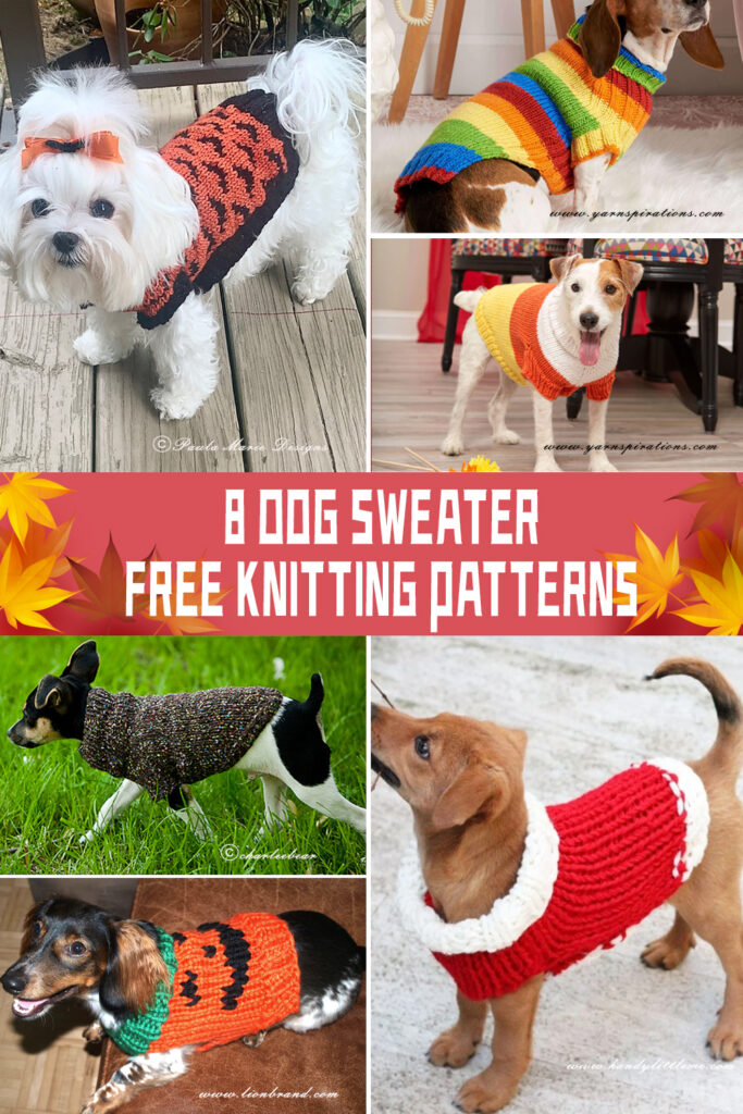 8 Dog Sweater Knitting Patterns - FREE