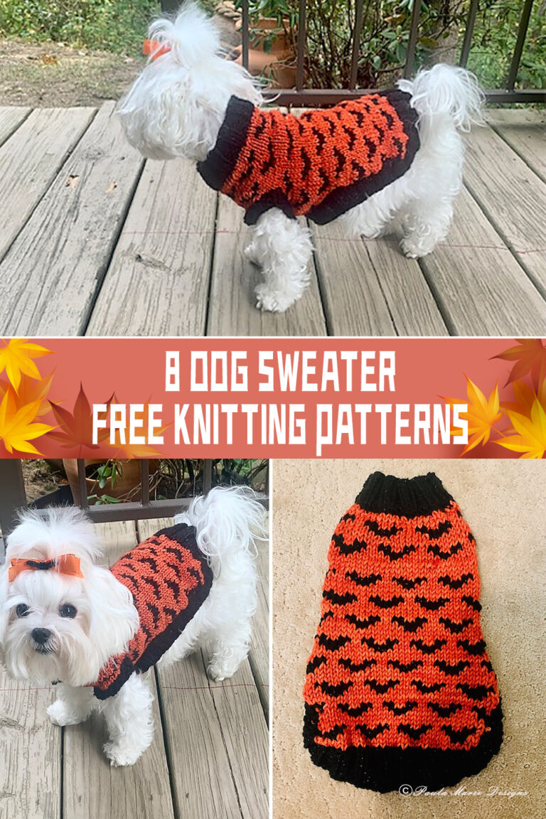 8 Dog Sweater Knitting Patterns FREE