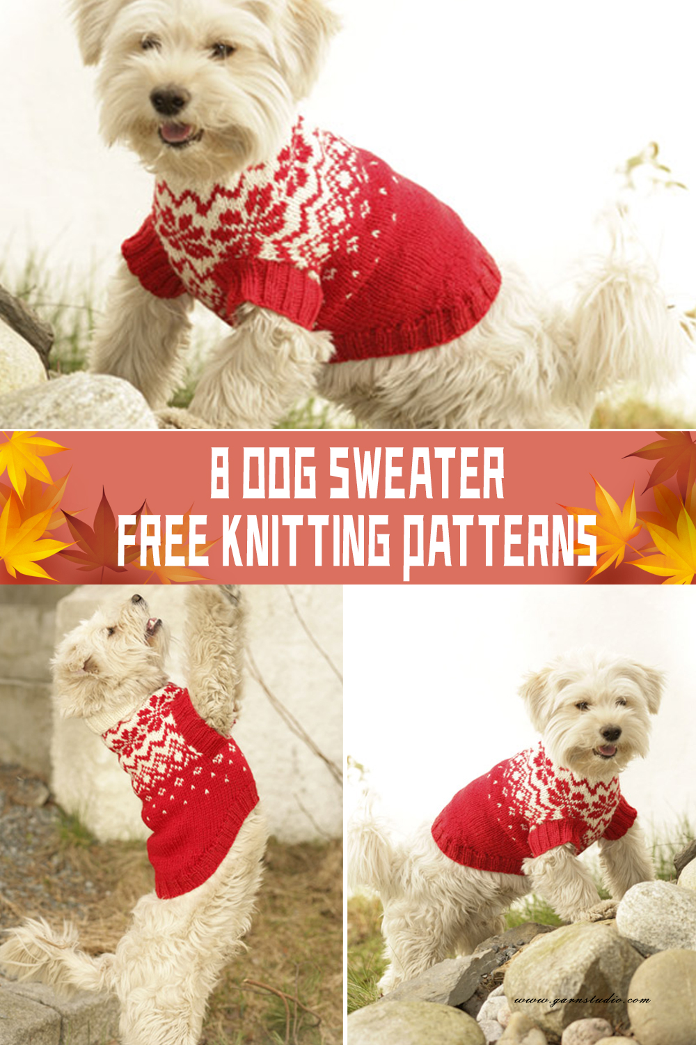 8 Dog Sweater Knitting Patterns FREE