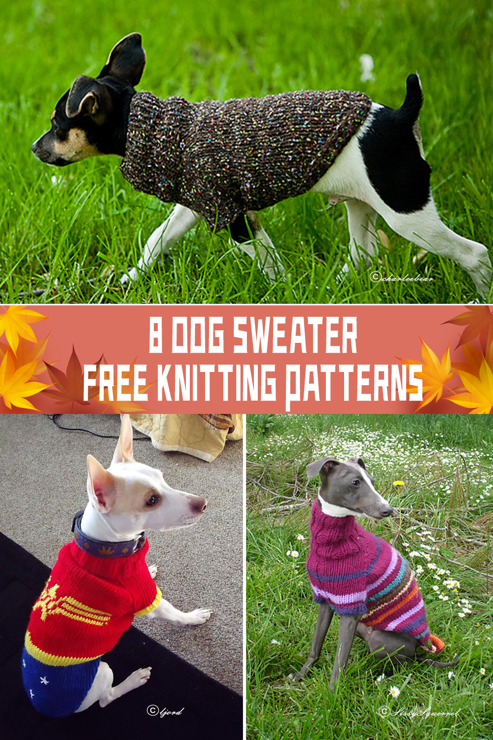 8 Dog Sweater Knitting Patterns FREE