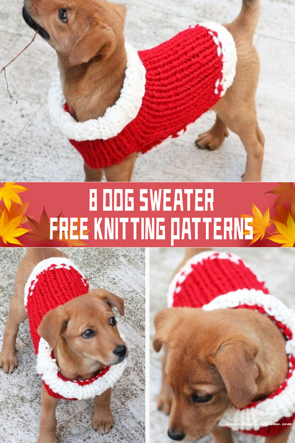 8 Dog Sweater Knitting Patterns FREE