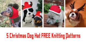 5 Christmas Dog Hat Knitting Patterns - FREE