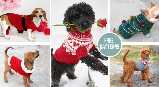 8 Christmas Dog Sweater Knitting Patterns - FREE