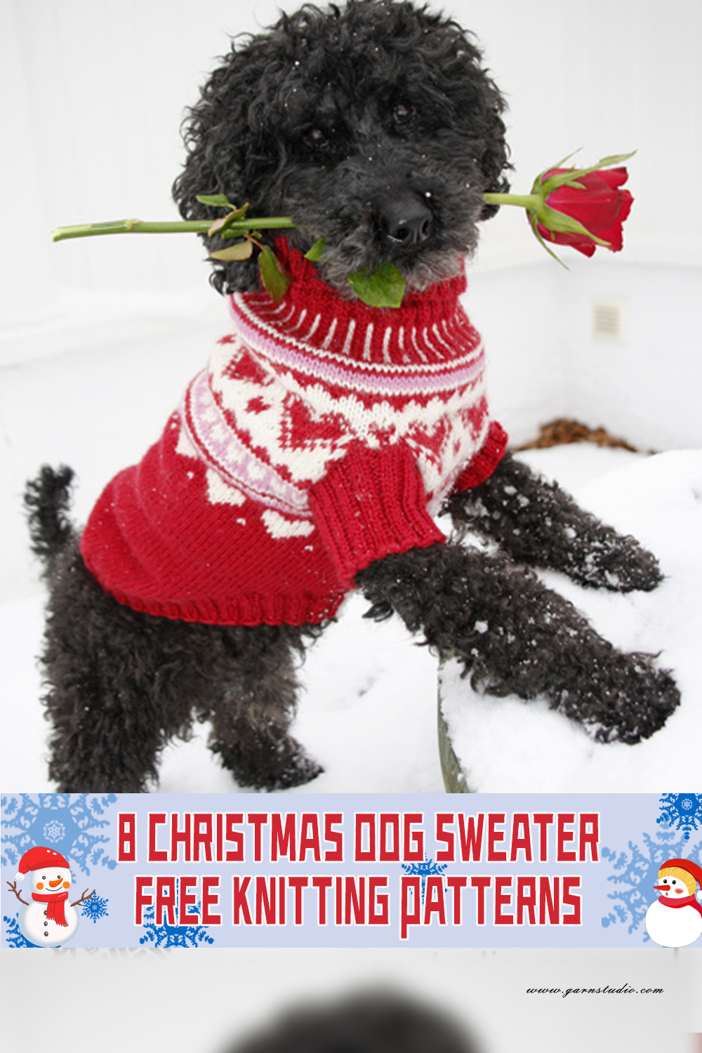 8 Christmas Dog Sweater Knitting Patterns FREE