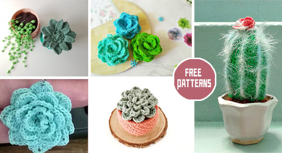 6 Unique Succulent Crochet Patterns - FREE