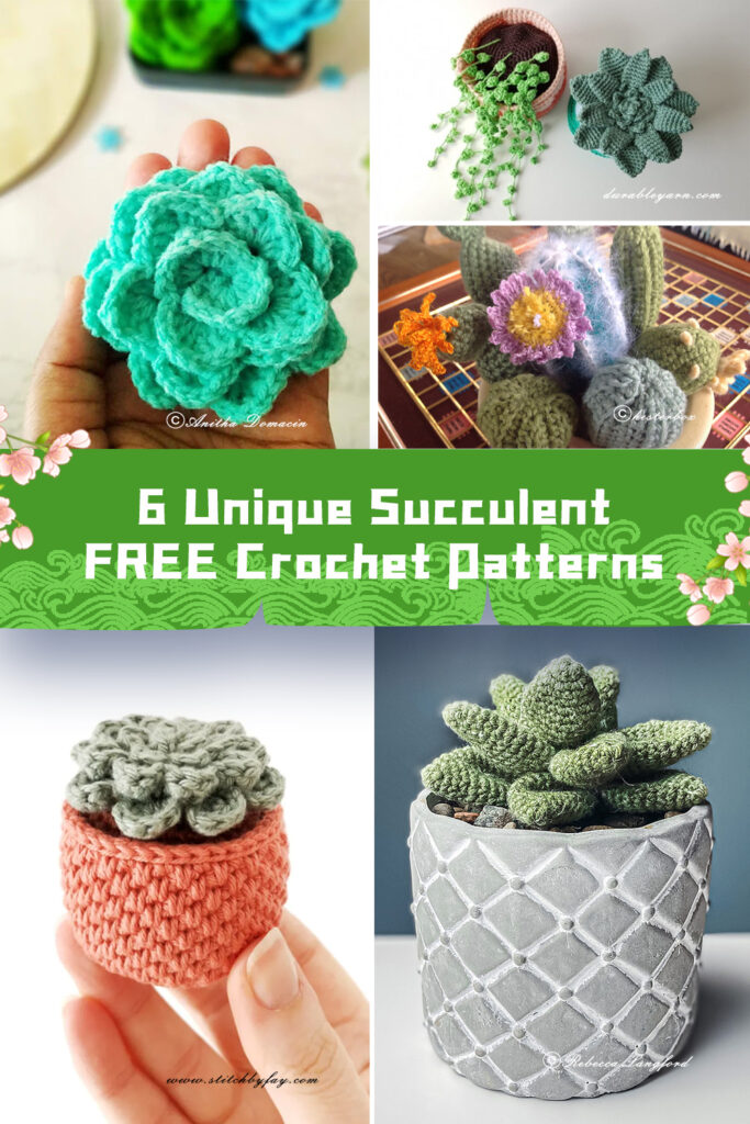 6 Unique Succulent Crochet Patterns - FREE
