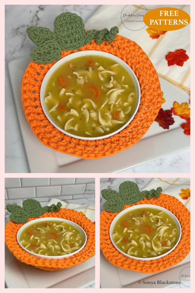 6 Delightful Bowl Cozy Crochet Patterns – FREE - iGOODideas.com